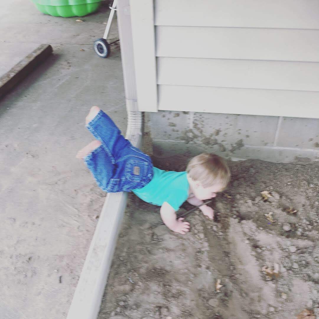 9F54A163-F5EA-4FA8-9523-AE9CFF18F3FD