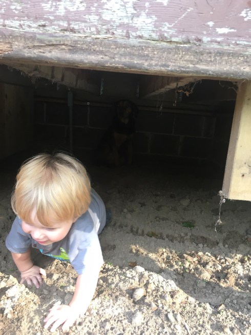 039597FD-3316-48BF-BA15-124A679B08FC